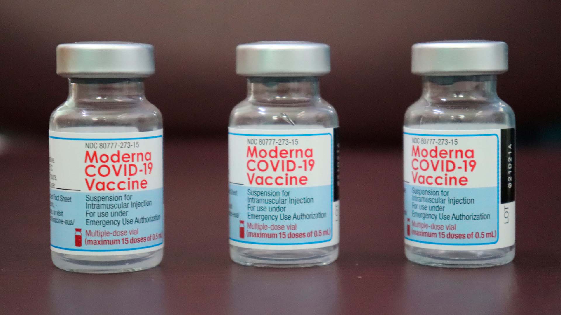 ¿Te aplicarán Moderna como refuerzo de vacuna? Estas son las probables reacciones